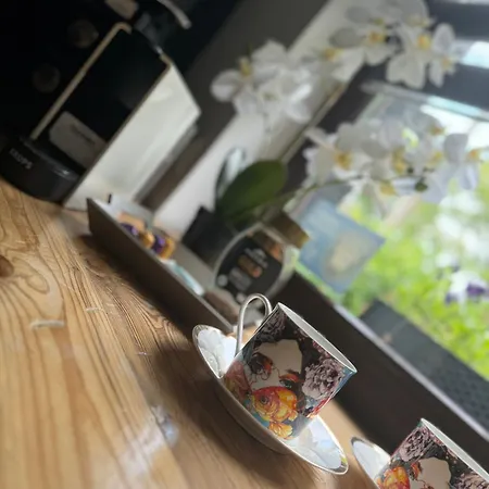 Atelier Premium 60m2 * פז'ז'מירובו