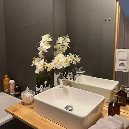 Atelier Premium 60m2 פז'ז'מירובו