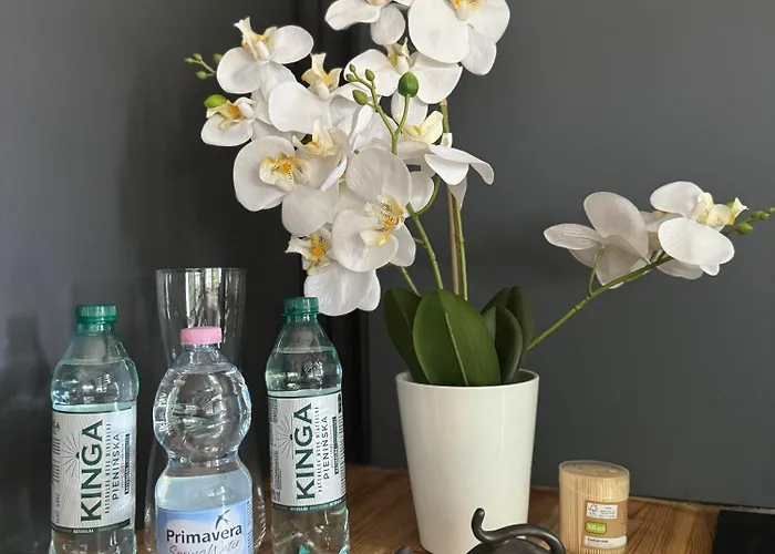 Atelier Premium 60m2 *